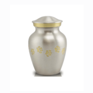 Ánfora Clásica Plata