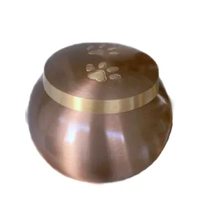 Ánfora Odisea Oro Rosa