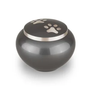 Ánfora Odisea Grafito